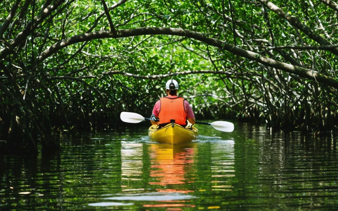 Kayak navigating Sarasota's mangrove tunnels, surrounded by lush greenery and dappled sunlight.