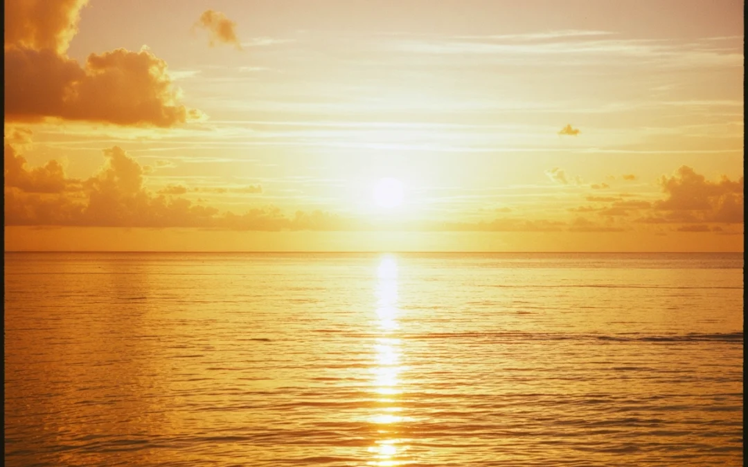 Why a Sarasota Sunset Cruise is a Must-Do for Nature Lovers