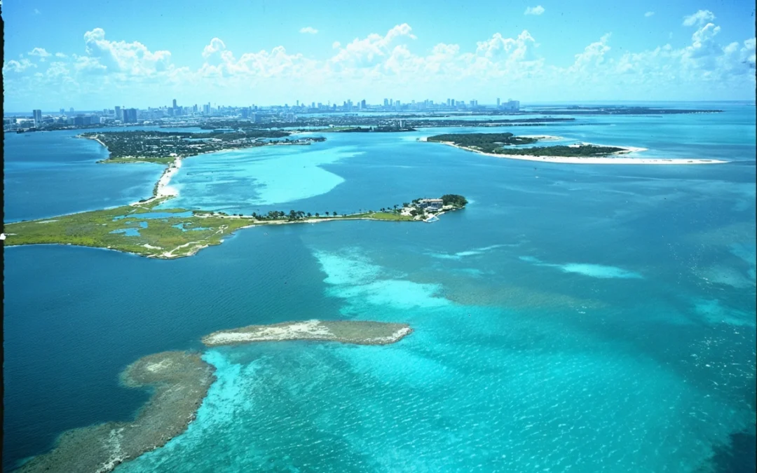 Aerial view of Sarasota Bay's vibrant waters and barrier islands on a sunny day.
